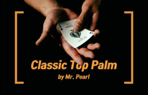 클래식 탑 팜 - 미스터 펄(Mr. Pearl)