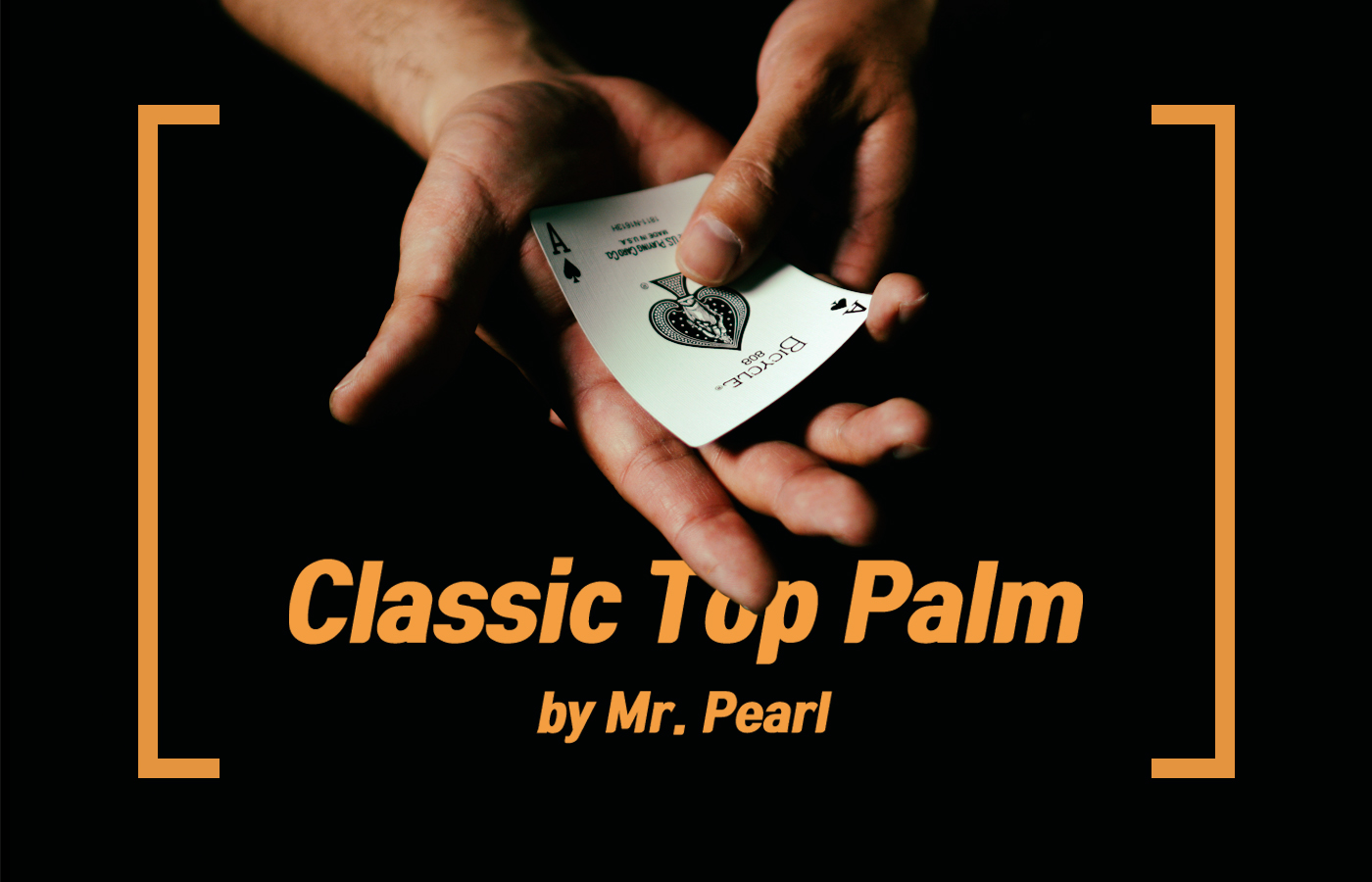 클래식 탑 팜 - 미스터 펄(Mr. Pearl)