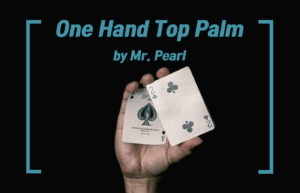 원 핸드 탑 팜 - 미스터 펄(Mr. Pearl)