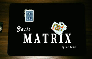 베이직 매트릭스 - 미스터 펄(Mr. Pearl)