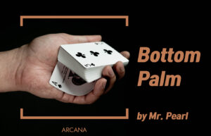 Bottom Palm - 미스터 펄(Mr. Pearl)