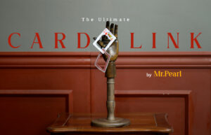 ◆ The Ultimate Card Link - 미스터 펄(Mr.Pearl)